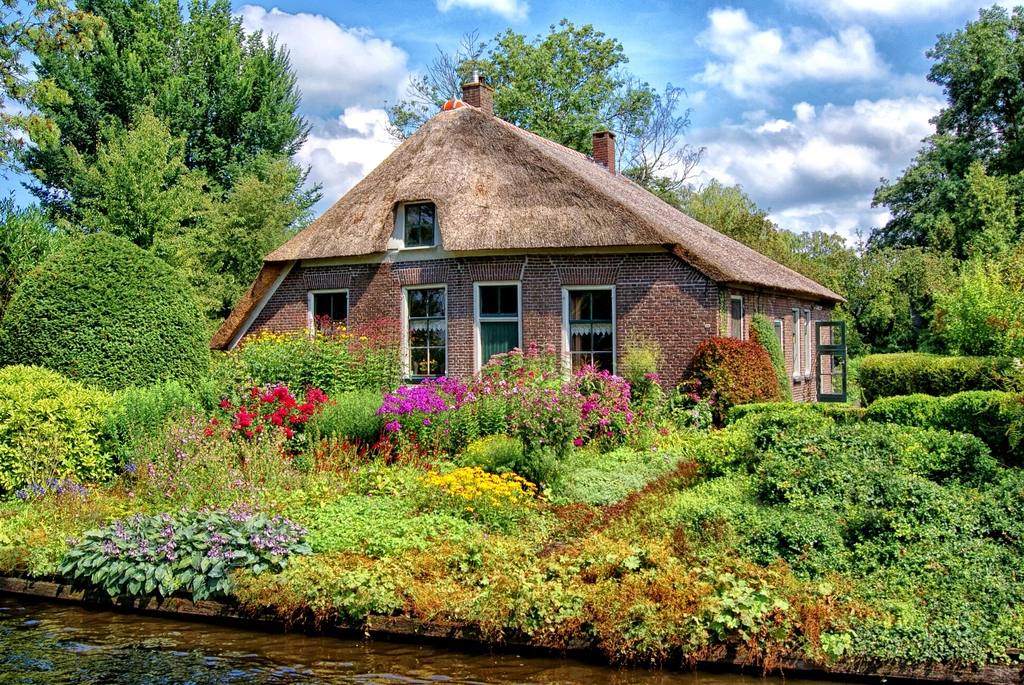 A cottage garden in full summer bloom